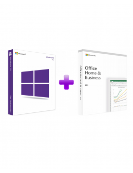 Windows 10 Professional + Office 2019 Home and Business (Bundle)